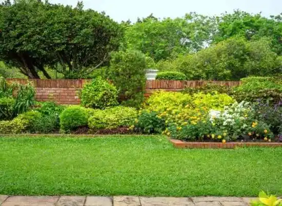 landscaping services Fairmount Heights